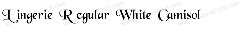 Lingerie Regular White Camisole字体转换
